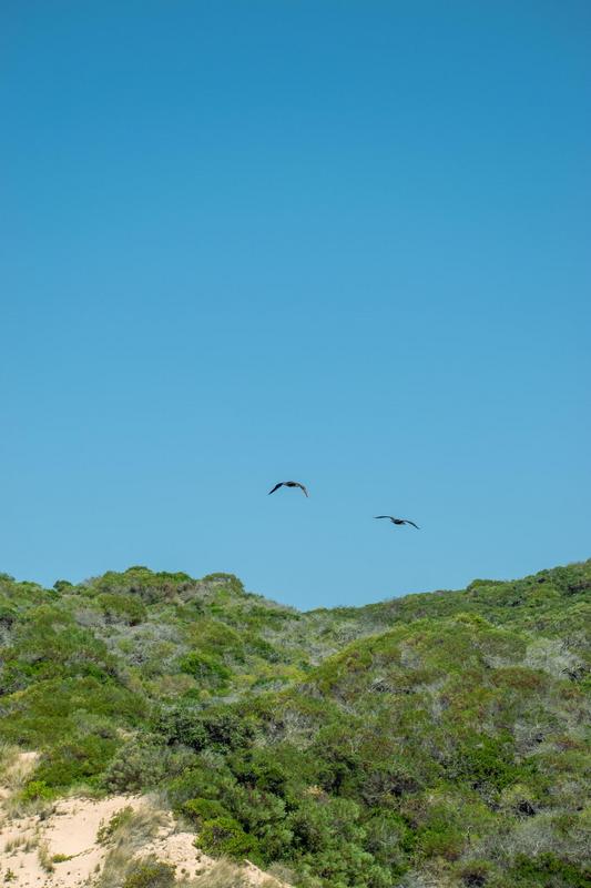 0 Bedroom Property for Sale in Moquini Coastal Estate Western Cape